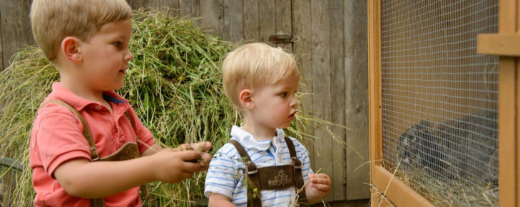 Bauernhof erleben - Bauernhoftiere für Kinder - Kinder-Bauernhof Hinterfischbach in Radstadt, Salzburger Land
