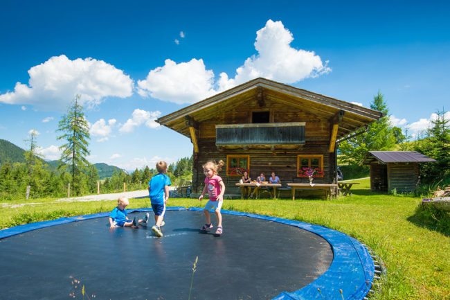 Almhütte in Salzburg, Radstadt - Steinwandalm