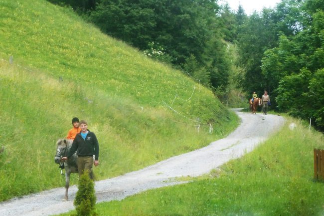 Bauernhof erleben - Bauernhoftiere für Kinder - Kinder-Bauernhof Hinterfischbach in Radstadt, Salzburger Land