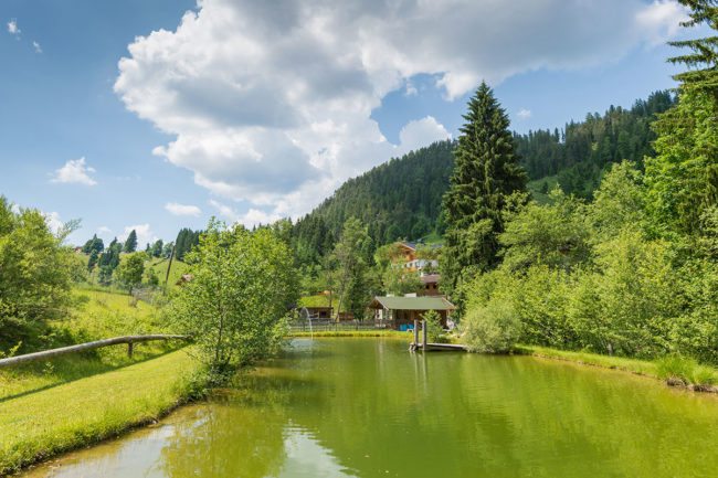 Urlaub am Bauernhof in Radstadt, Salzburger Land - Hinterfischbachhof